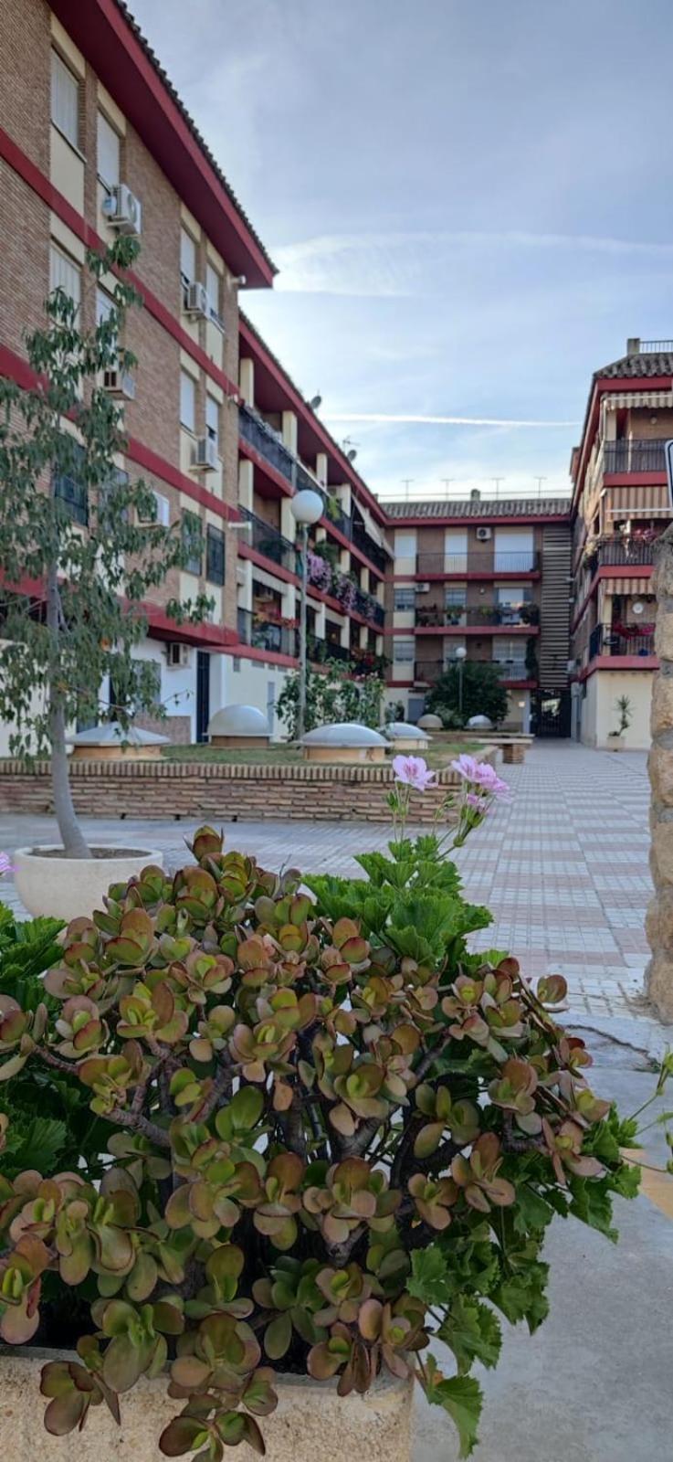 Loft A La Verita River, Parking Free กอร์โดบา ภายนอก รูปภาพ